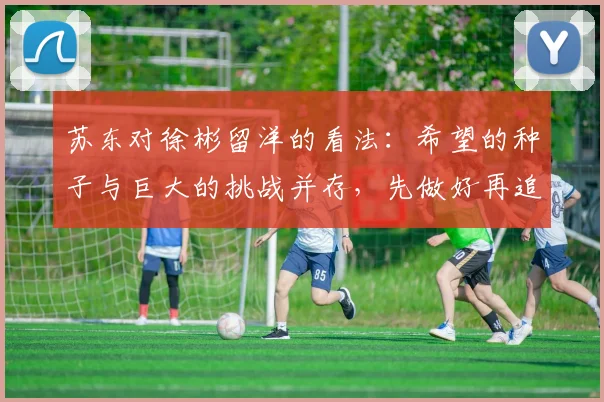 苏东对徐彬留洋的看法：希望的种子与巨大的挑战并存，先做好再追求完美
